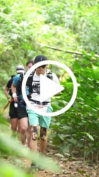 BIB:  <button type="button" onclick="openModal(26823446)" class="btn btn-primary btn-sm float-right" data-toggle="modal" data-target=".modal-high-quality">
                <i class="fa fa-download"></i> Download
                </button>